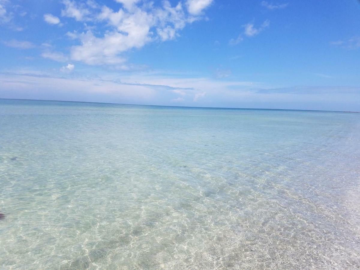 Amazing Panoramic Beach View And The Most Beautiful Sunset Longboat Key Exterior foto